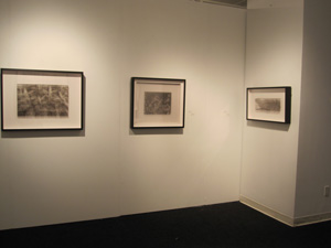 view of the show1